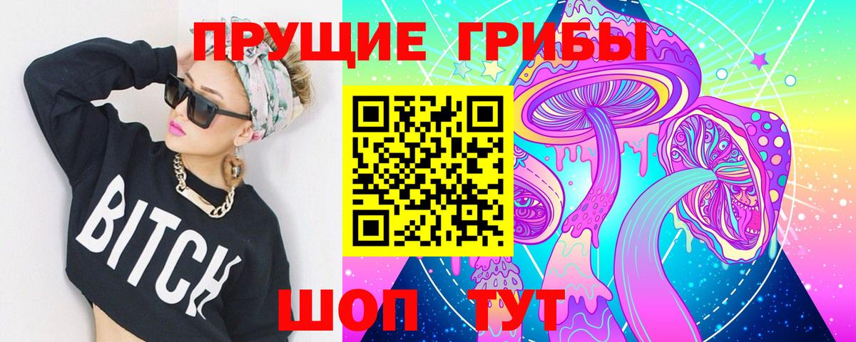 Волжский  купить закладку  Вход с VPN  Псилоцибиновые грибы Cubensis 